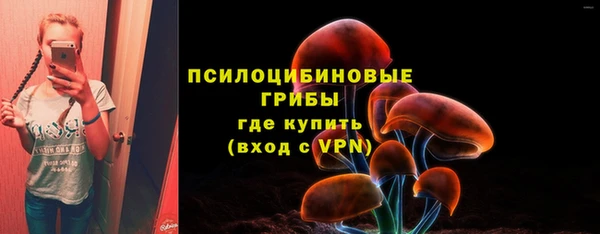 дурь Алексеевка