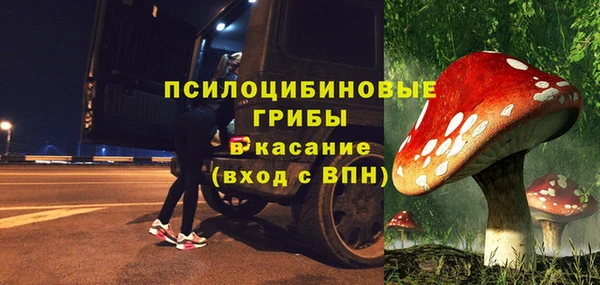 твердый Алексин
