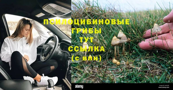 твердый Алексин