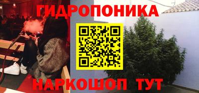 ешки Бийск