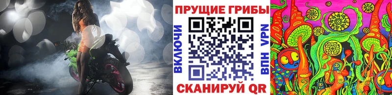 Галлюциногенные грибы прущие грибы  ссылка на мегу ССЫЛКА  Губкин 