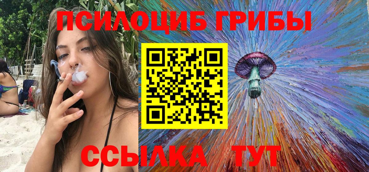 Галлюциногенные грибы прущие грибы Губкин